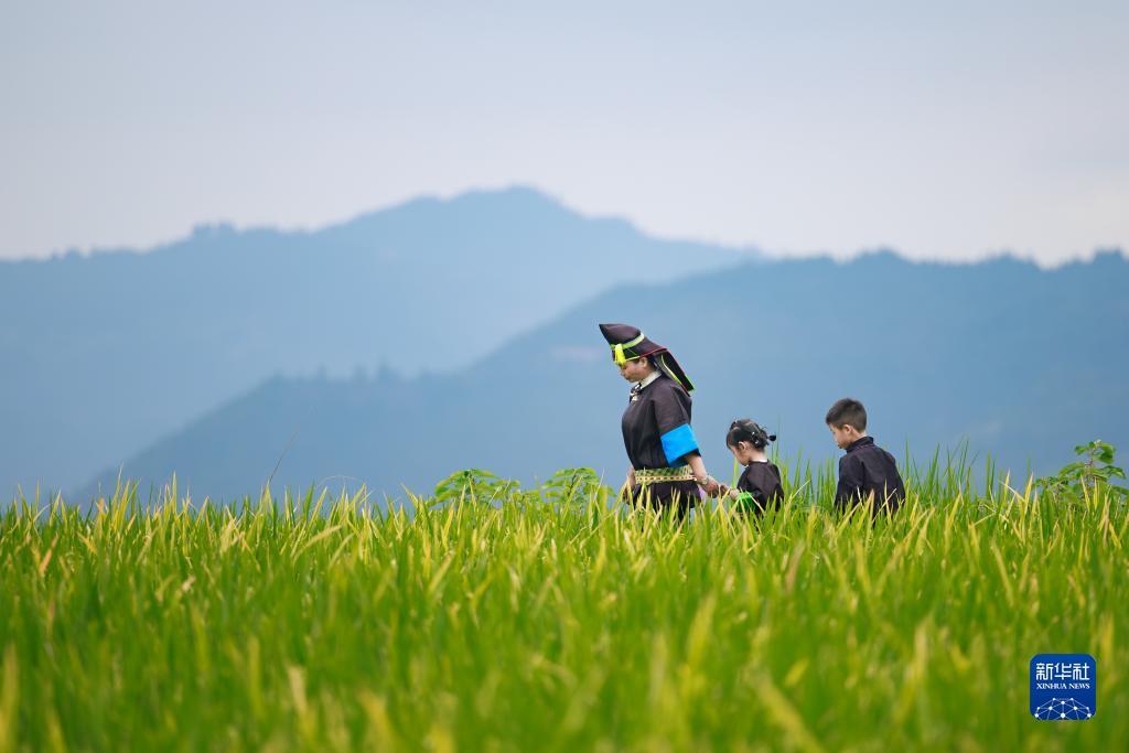 大红鹰彩票欢迎你